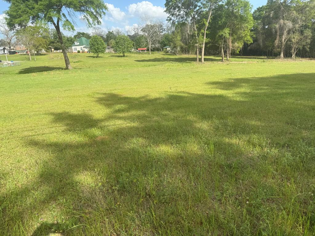 0 Spring Street Newton, AL 36352 - Photo 1 of 5 Main View