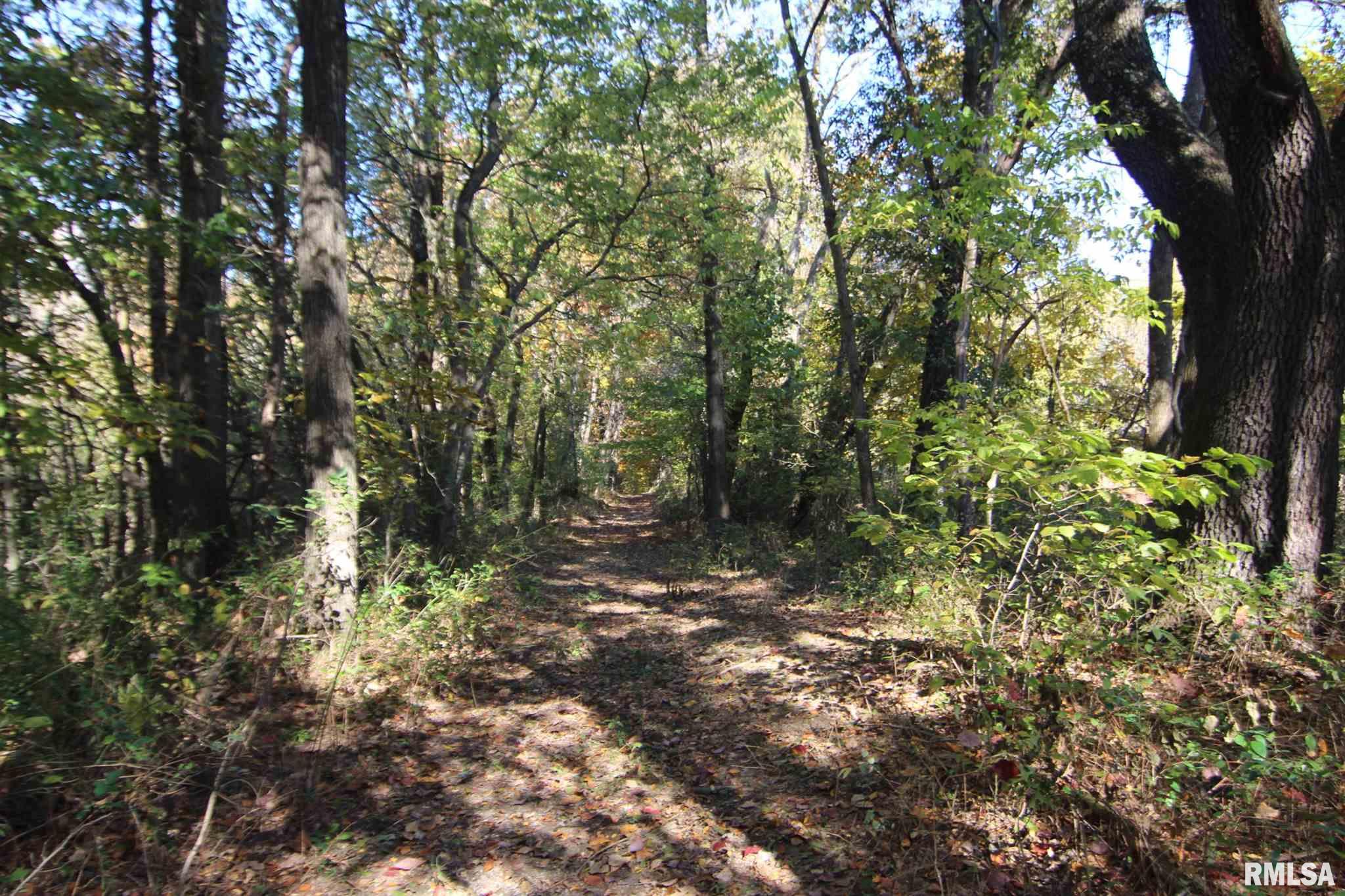 0 East Gun Creek Road Ina, IL 62846 - Photo 8 of 14