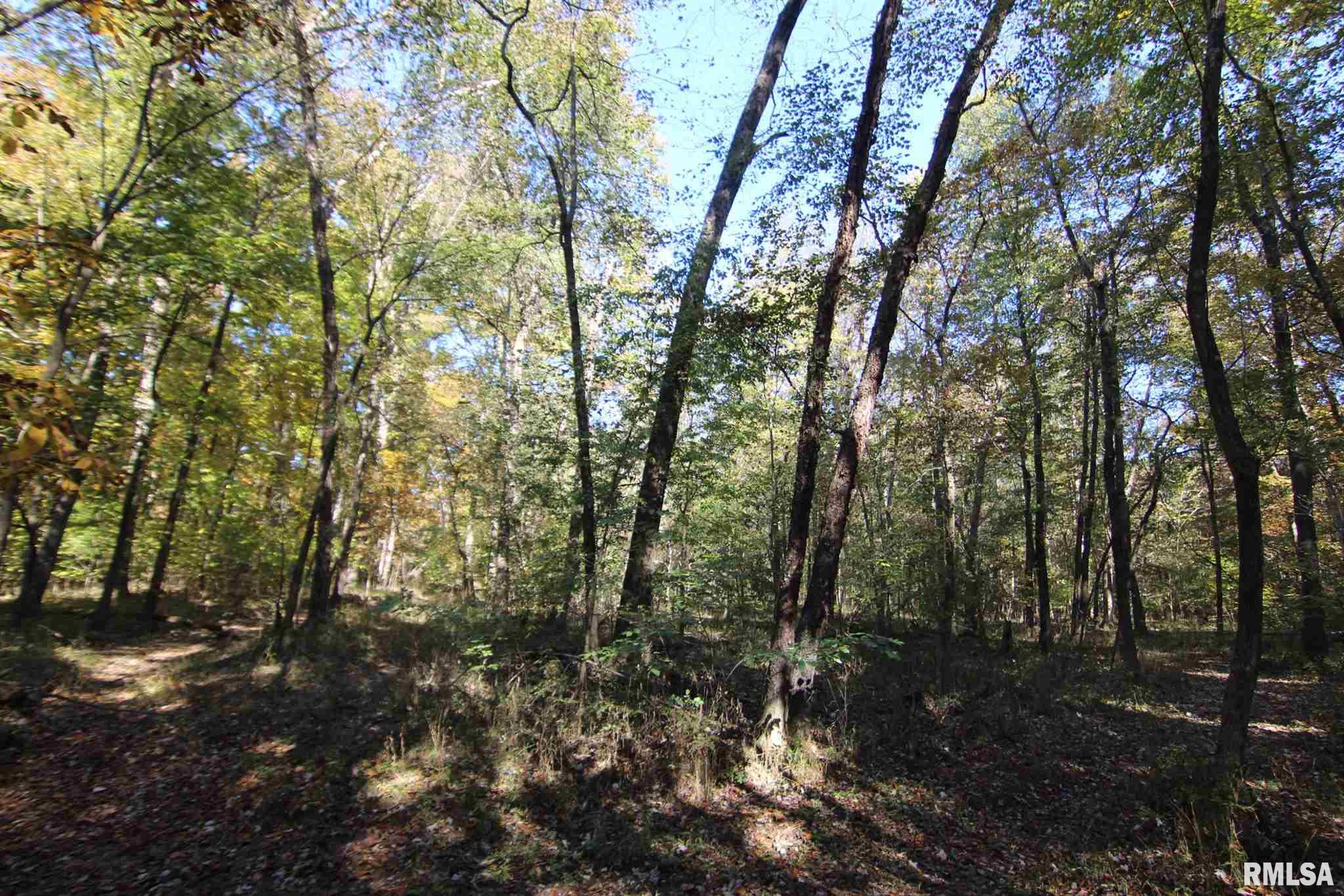 0 East Gun Creek Road Ina, IL 62846 - Photo 9 of 14