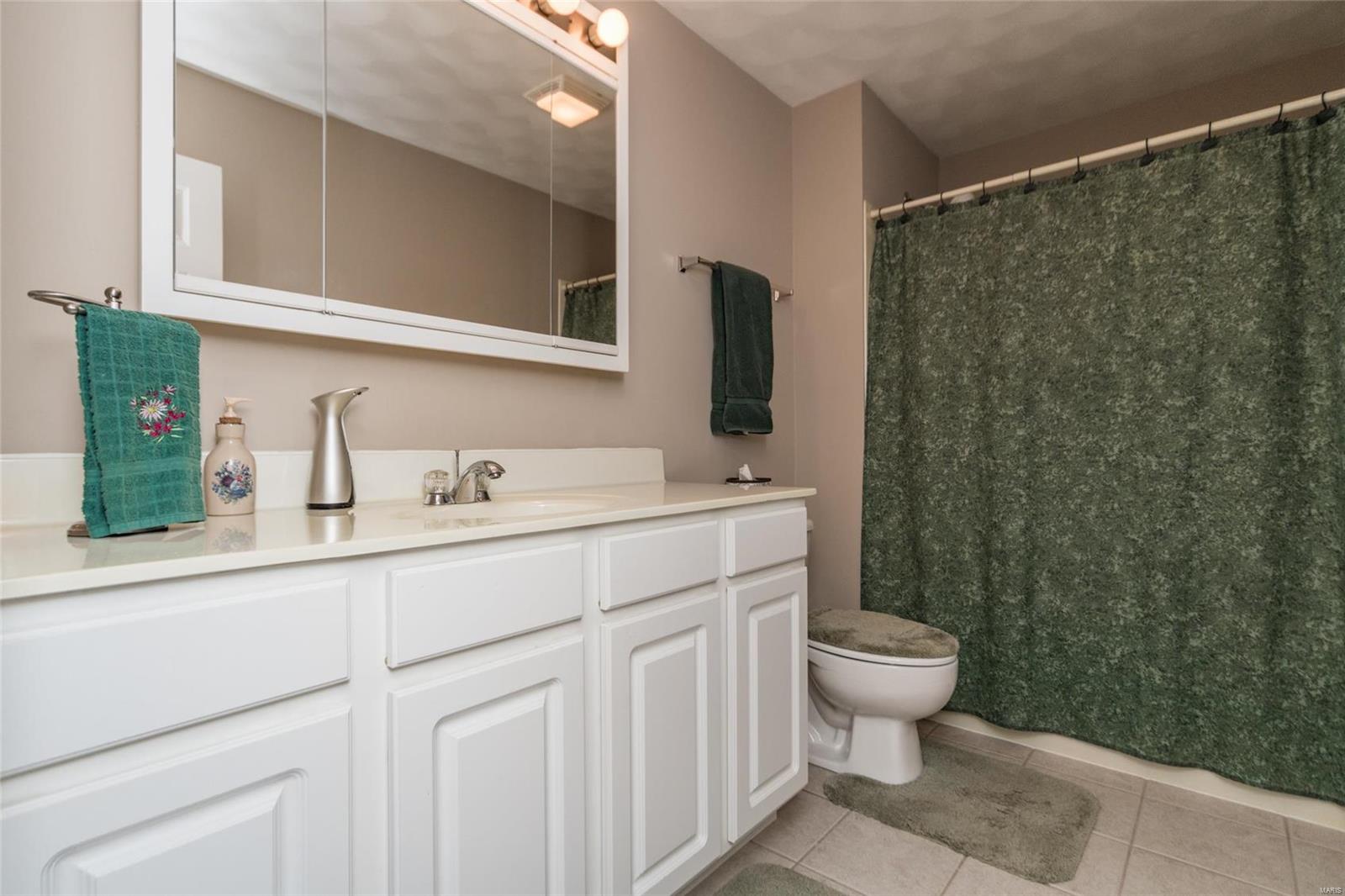 1263 Pheasant Ridge Court Shiloh, IL 62221 - Photo 19 of 30 Gallery Image 19