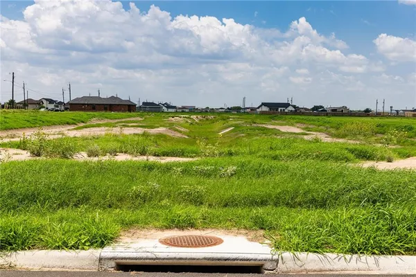 a view of yard with swimming pool and green space