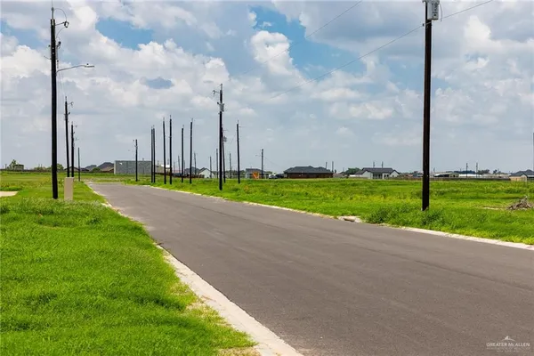 a view of a park with large trees