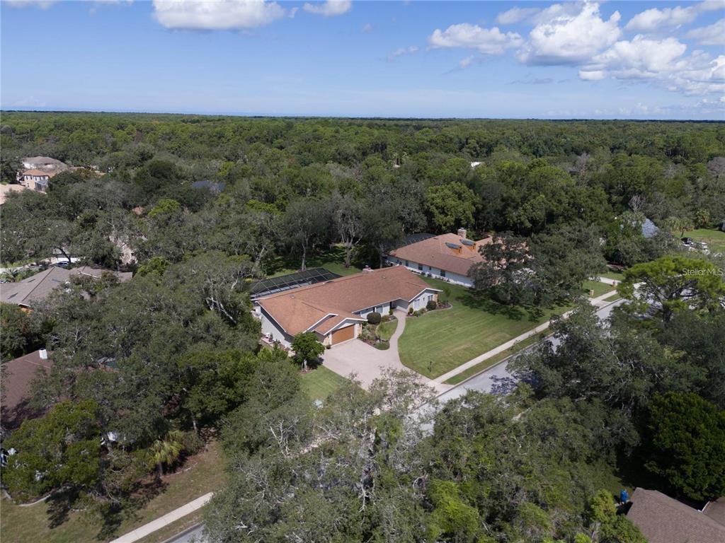 4603 Lake In The Woods Drive Spring Hill, FL 34607 - Photo 27 of 69 an aerial view of a house with a yard