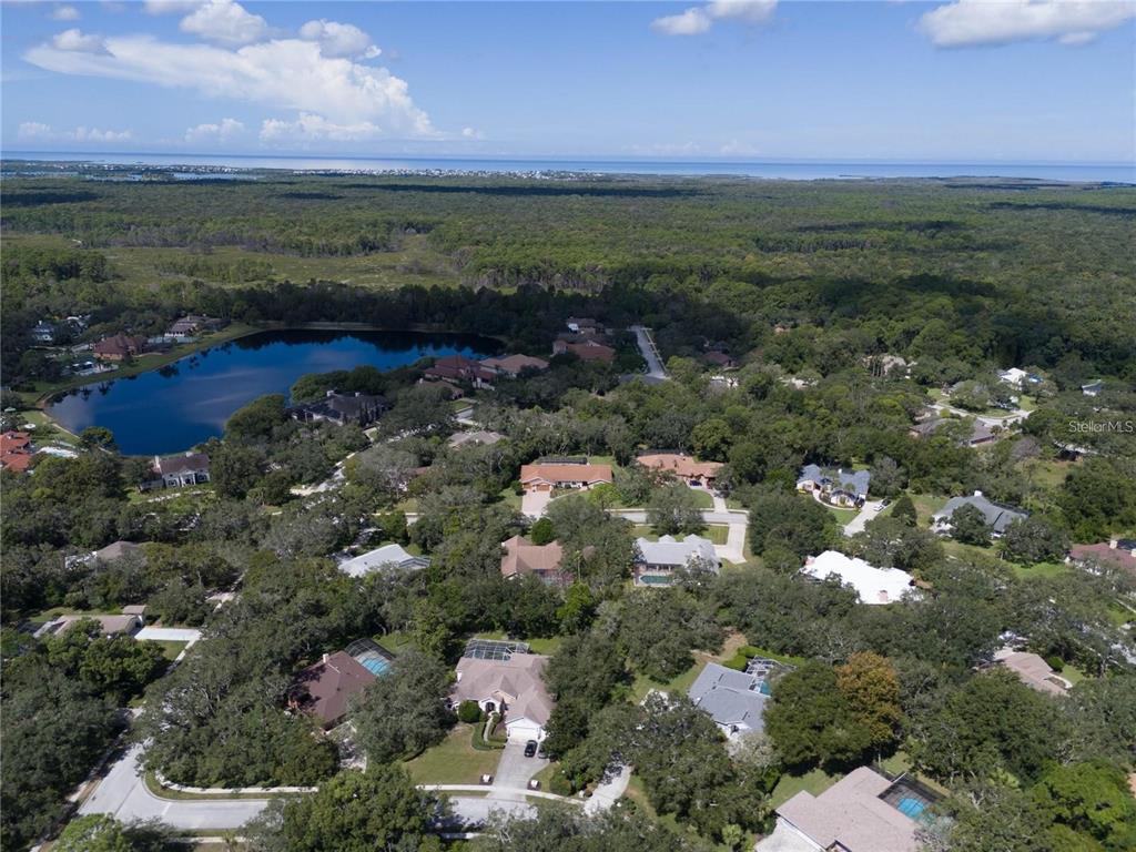 4603 Lake In The Woods Drive Spring Hill, FL 34607 - Photo 29 of 70