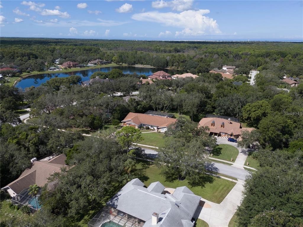4603 Lake In The Woods Drive Spring Hill, FL 34607 - Photo 46 of 69 an aerial view of a houses with a lake view