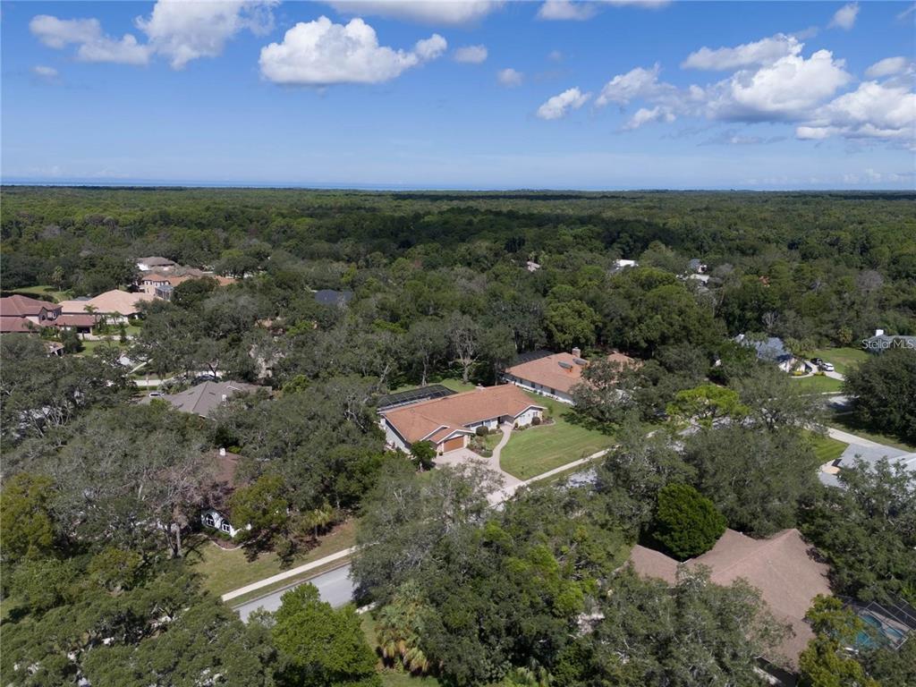 4603 Lake In The Woods Drive Spring Hill, FL 34607 - Photo 47 of 69