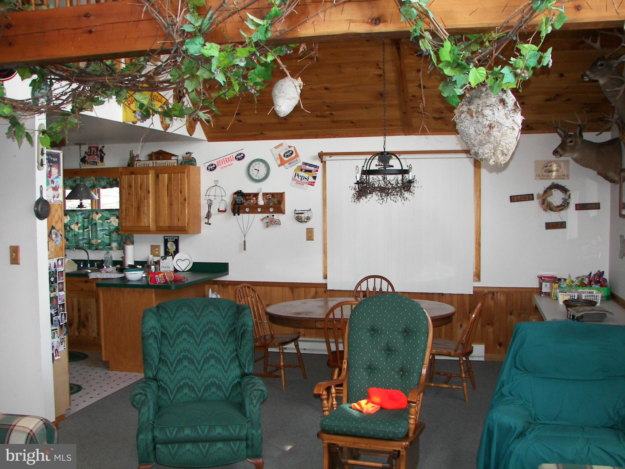 1830 Off Wv Rt 7 Berkeley Springs Berkeley Springs, WV 25411 - Photo 14 of 30 Living Room
