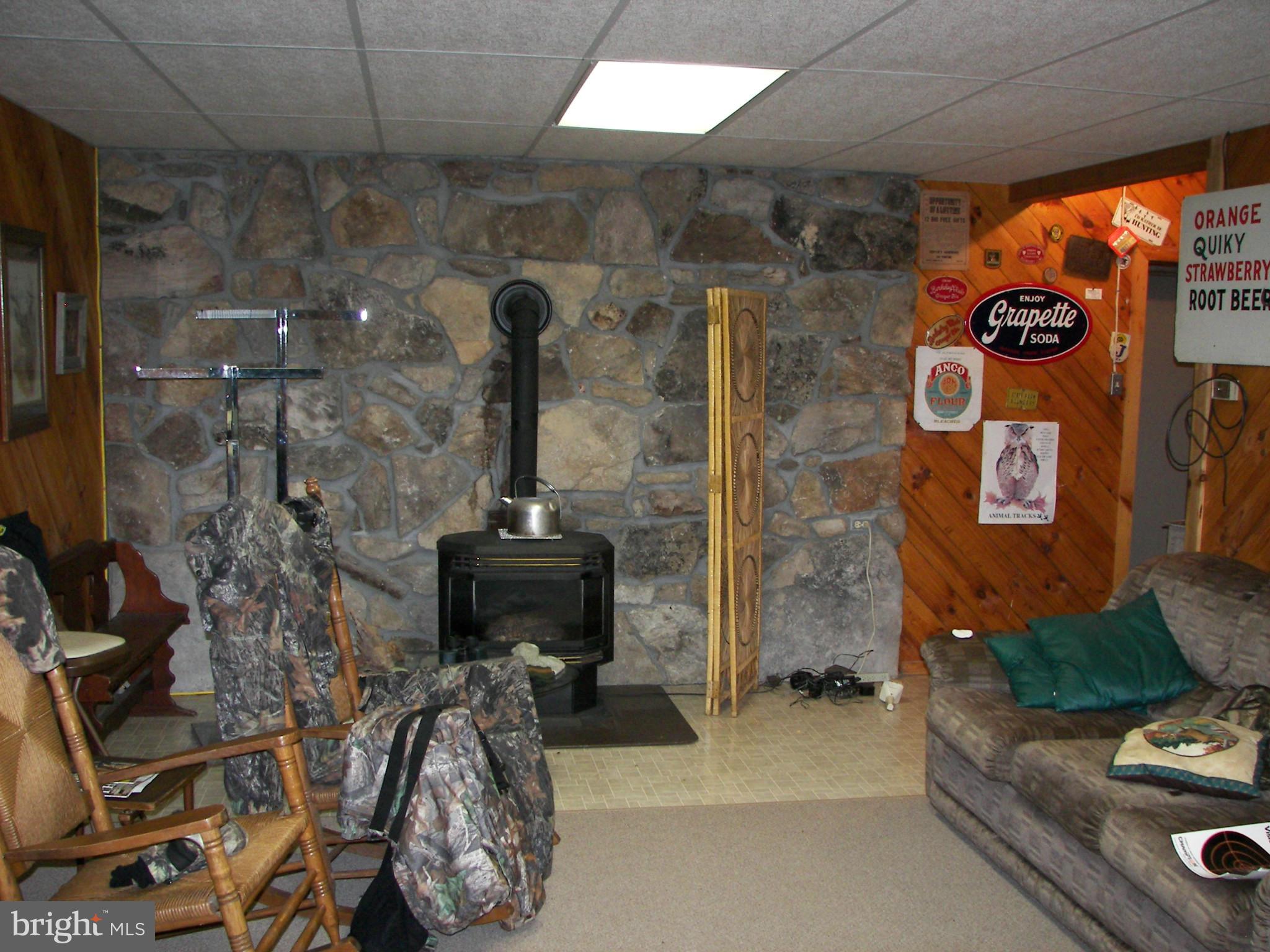 1830 Off Wv Rt 7 Berkeley Springs Berkeley Springs, WV 25411 - Photo 21 of 30 Basement
