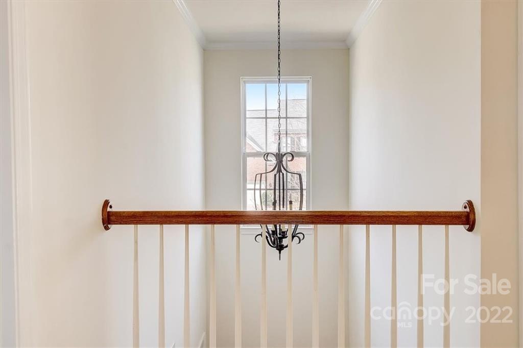 11223 Winget Pond Road Charlotte, NC 28278 - Photo 22 of 43 a view of a black and white wall