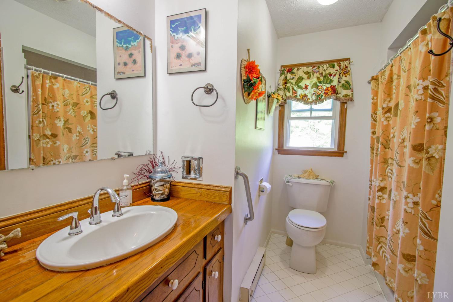 1494 Buffalo Mill Road Evington, VA 24550 - Photo 16 of 75 a bathroom with a sink and a mirror