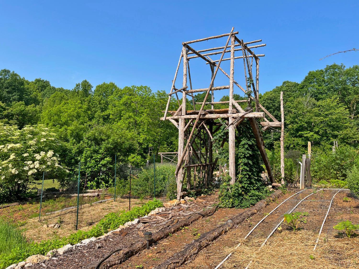 1494 Buffalo Mill Road Evington, VA 24550 - Photo 67 of 75 a view of a yard with plants and palm trees