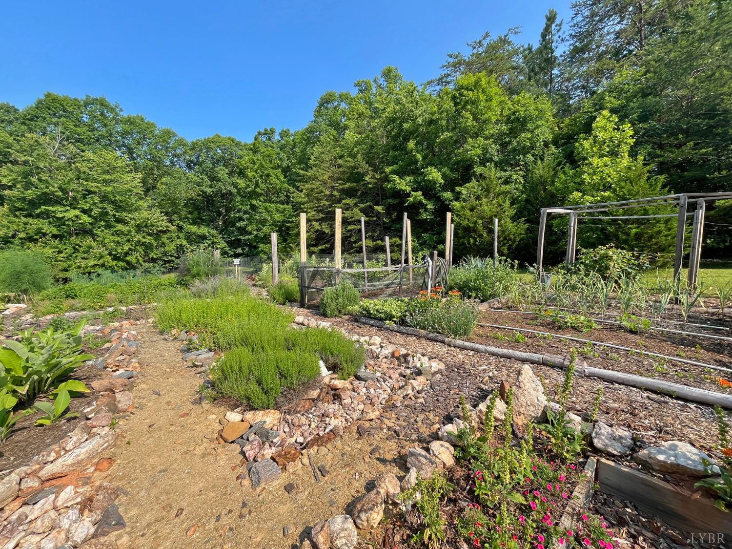 1494 Buffalo Mill Road Evington, VA 24550 - Photo 70 of 75 a backyard of a house with lots of green space