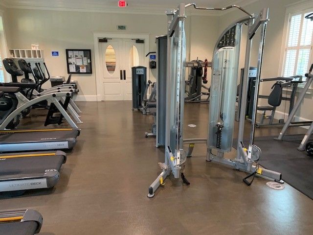 a view of a garden with a pathway