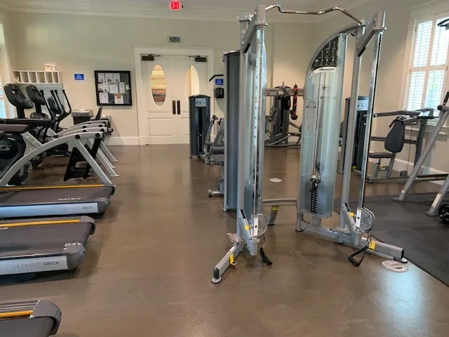 a view of a garden with a pathway