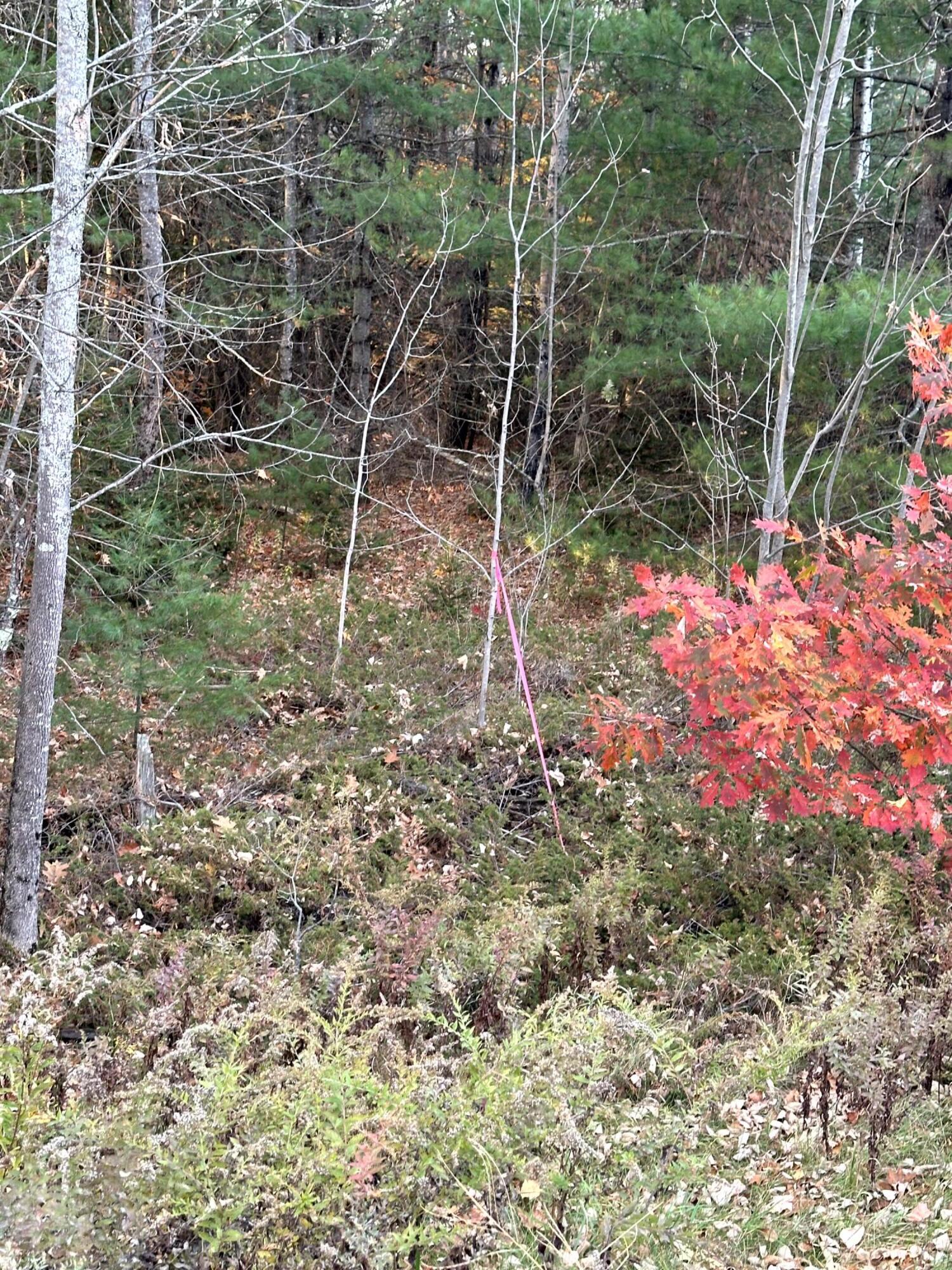 14 Map Road Albion, ME 04910 - Photo 10 of 35 IMG_9298