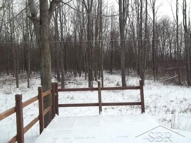 5361 Teft Road St. Charles, MI 48655 - Photo 2 of 17 31277114-1.JPG