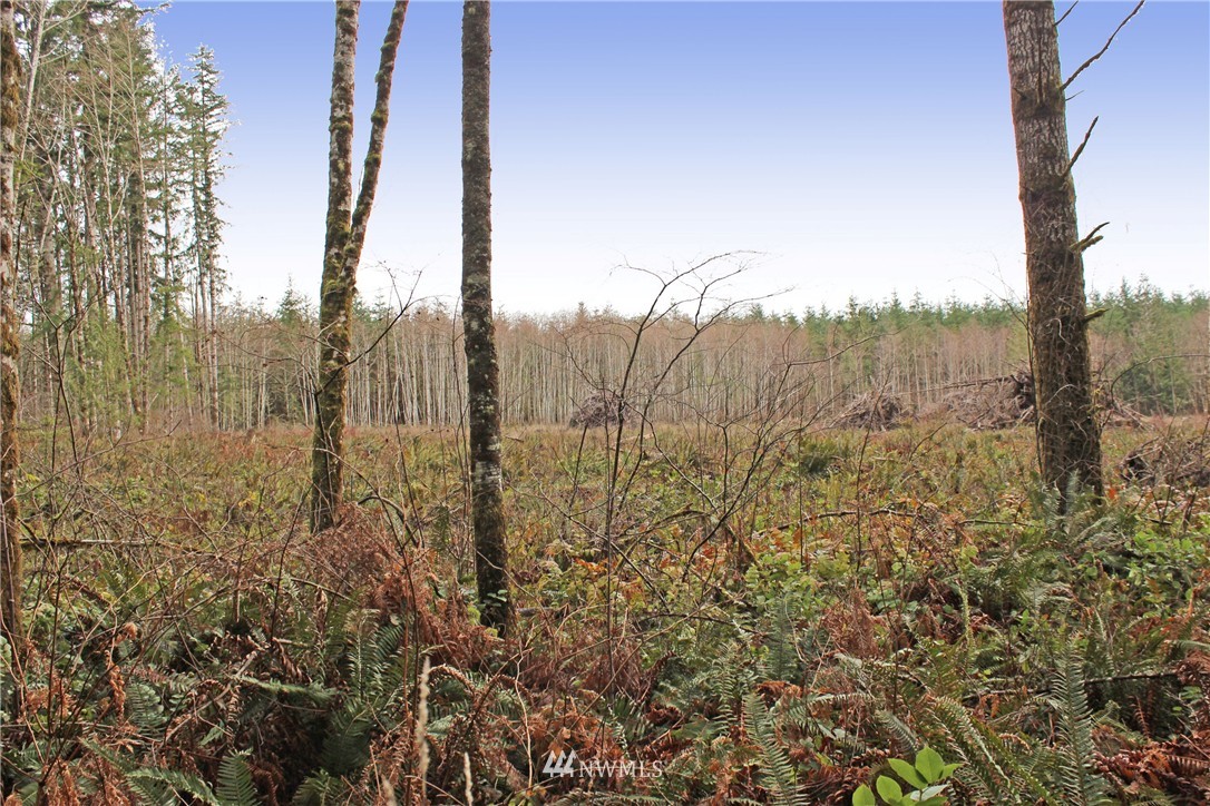 22030 Lee Road Southwest Centralia, WA 98531 - Photo 11 of 15