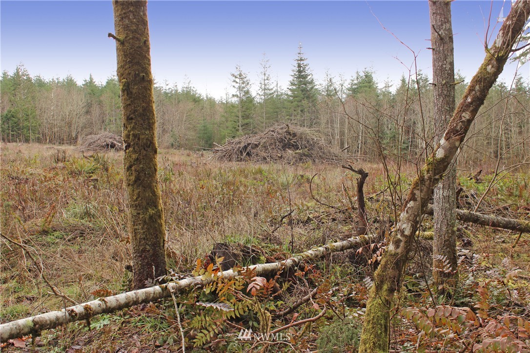 22030 Lee Road Southwest Centralia, WA 98531 - Photo 13 of 15