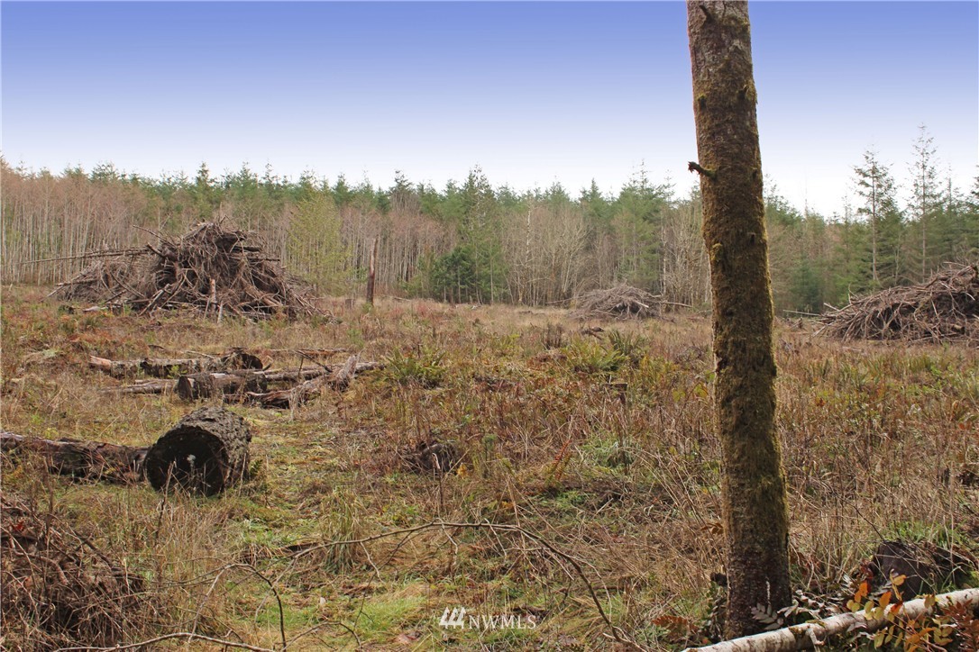 22030 Lee Road Southwest Centralia, WA 98531 - Photo 3 of 15
