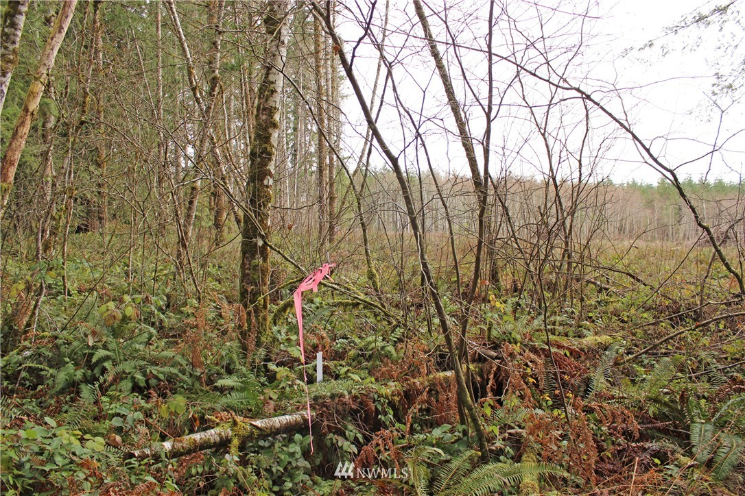 22030 Lee Road Southwest Centralia, WA 98531 - Photo 6 of 15