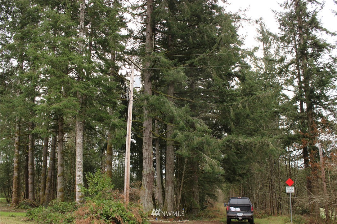 22030 Lee Road Southwest Centralia, WA 98531 - Photo 8 of 15