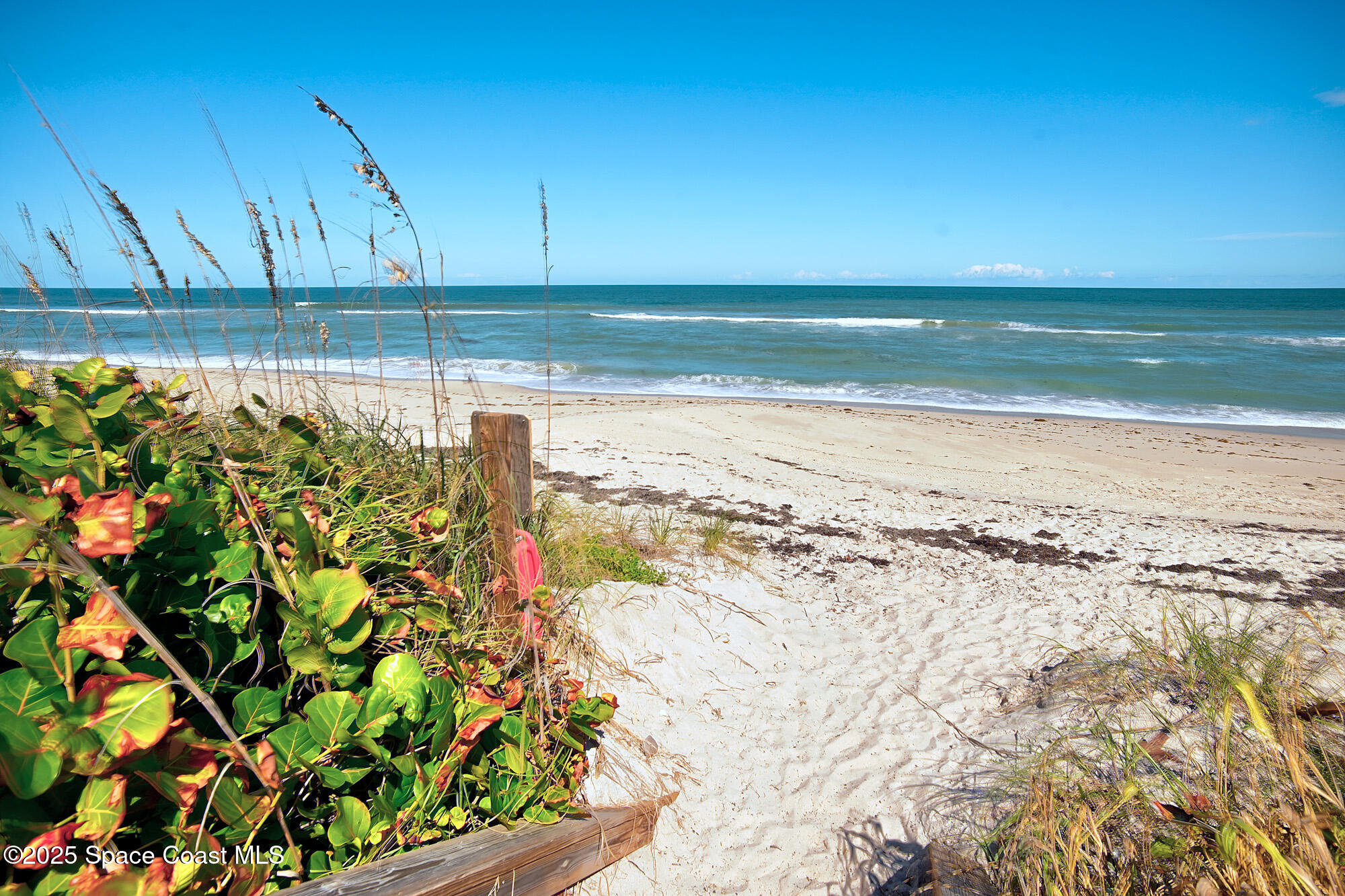 5930 Riverside Drive Melbourne Beach, FL 32951 - Photo 36 of 46 a view of a room with wooden floor
