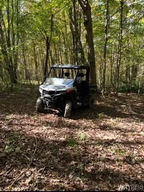 $184,900 | 2761 Friendship Lane, Franklinville, NY 14737