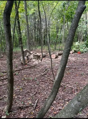 $184,900 | 2761 Friendship Lane, Franklinville, NY 14737