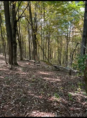 $184,900 | 2761 Friendship Lane, Franklinville, NY 14737