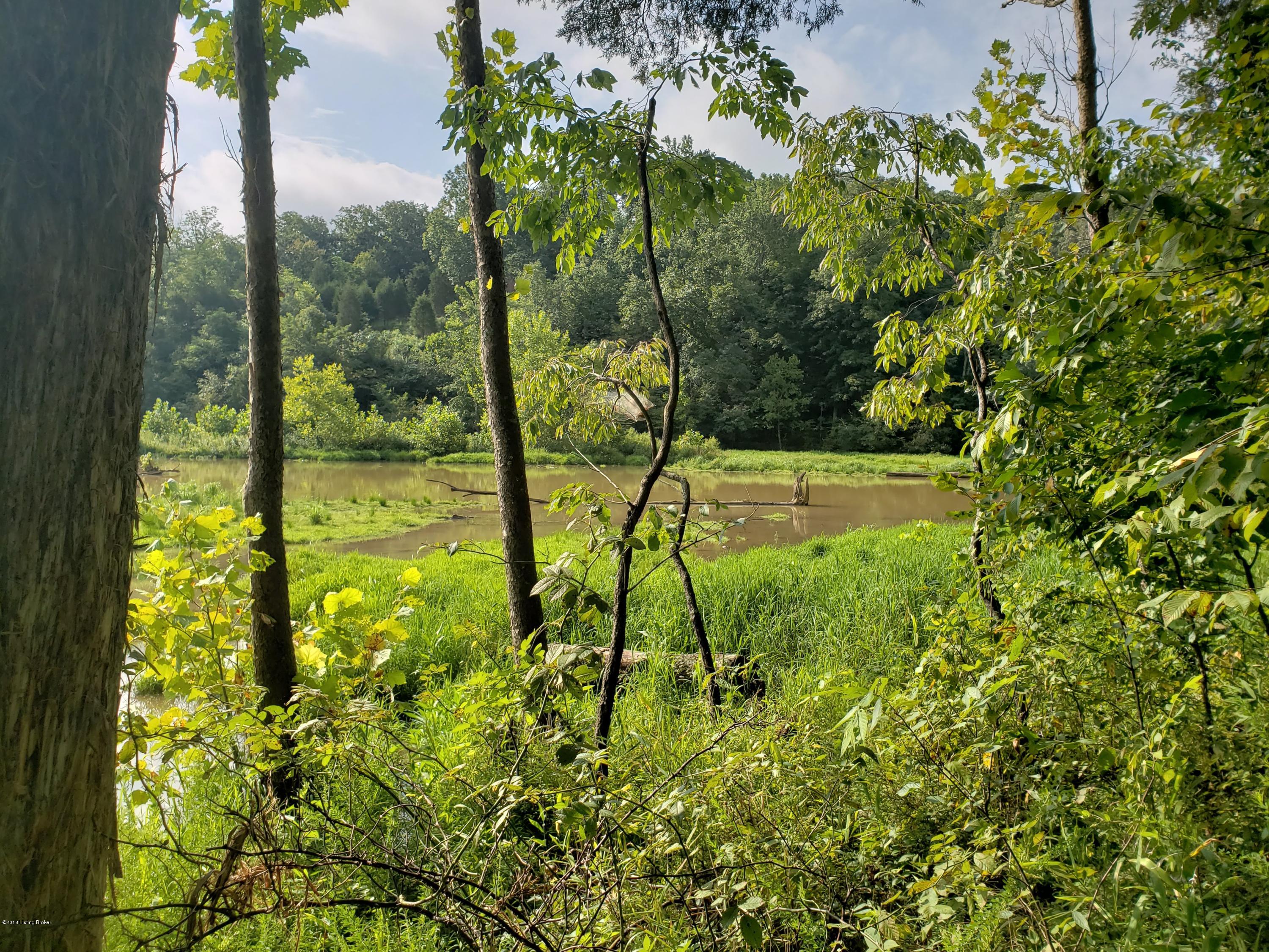 Lot #25 Red Wing Road Brandenburg, KY 40108 - Photo 11 of 12 20180801_095232
