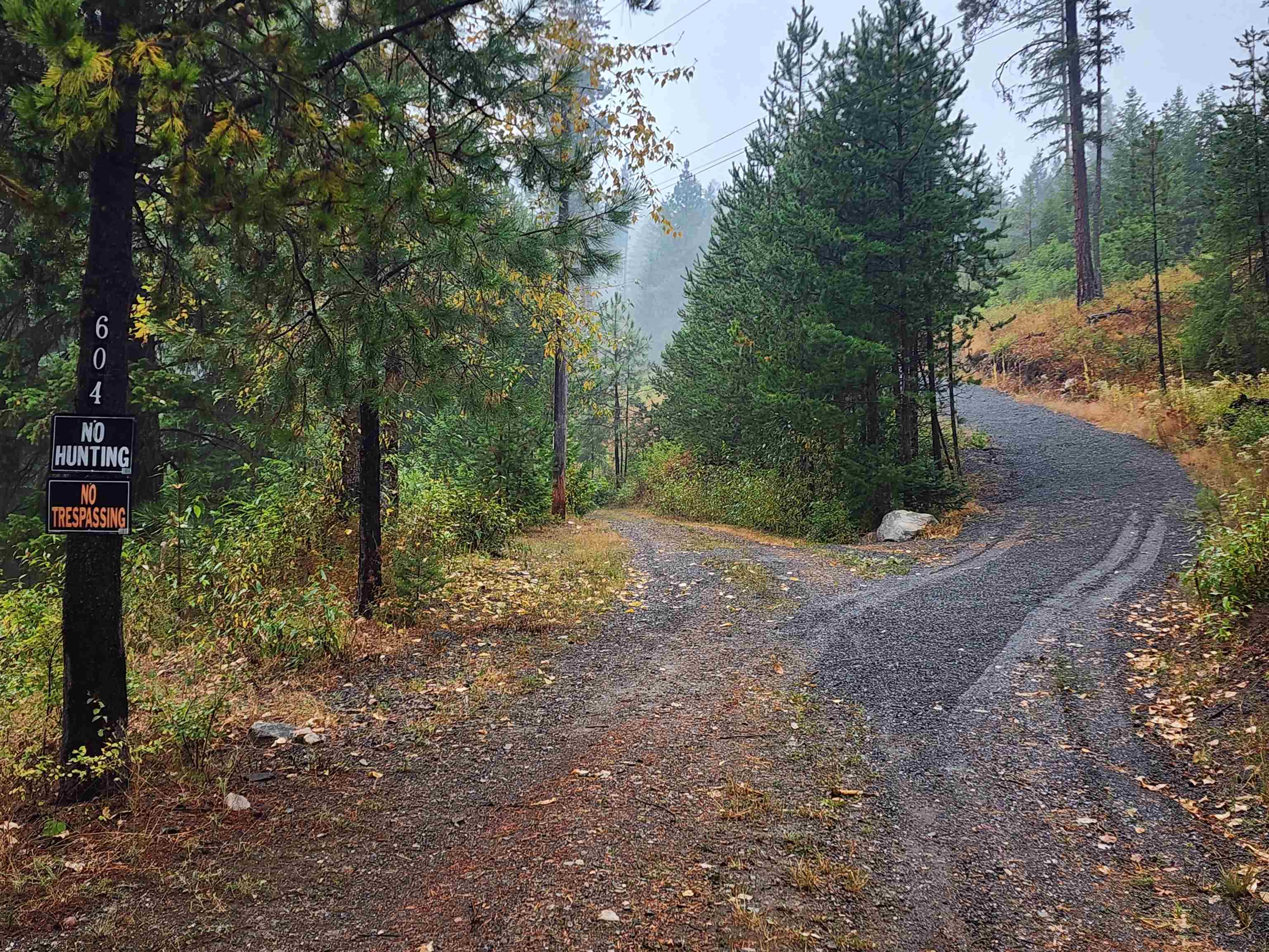 604 Deadman Creek Road Kettle Falls, WA 99141 - Photo 26 of 50 Gallery Image 26