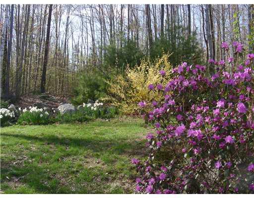 36 Mt Tumbledown Road Gilead, ME 04217 - Photo 3 of 25 Yard/Garden.