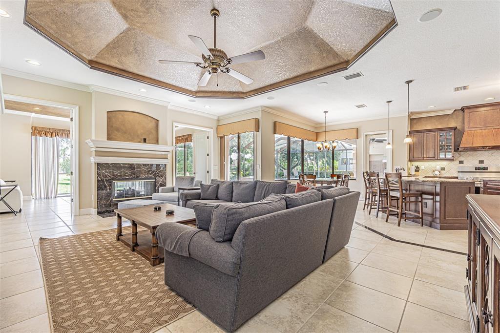 20411 Lace Cascade Road Land O Lakes, FL 34637 - Photo 11 of 44 a living room with furniture a fireplace and a chandelier