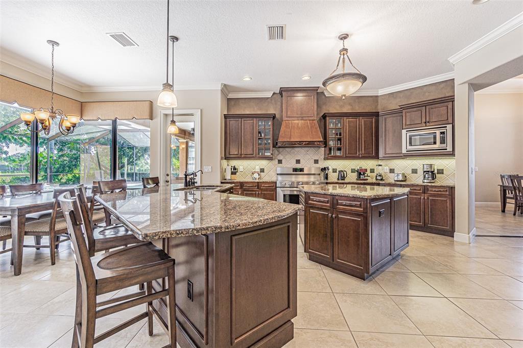 20411 Lace Cascade Road Land O Lakes, FL 34637 - Photo 2 of 44 a kitchen with kitchen island granite countertop a sink counter and chairs