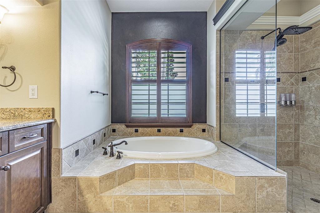 20411 Lace Cascade Road Land O Lakes, FL 34637 - Photo 22 of 44 a bath tub sitting next to a window