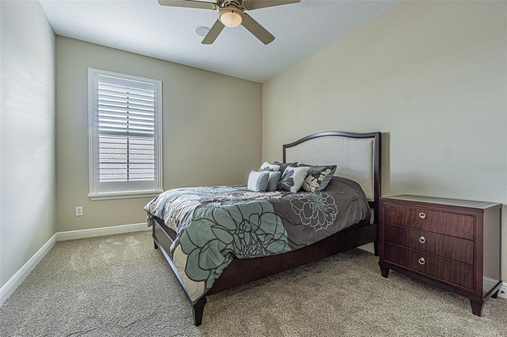 20411 Lace Cascade Road Land O Lakes, FL 34637 - Photo 27 of 44 a bedroom with a bed and window