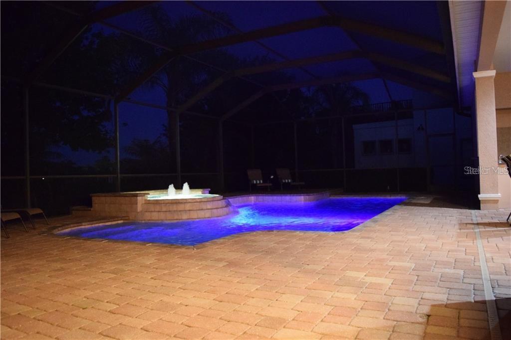 20411 Lace Cascade Road Land O Lakes, FL 34637 - Photo 36 of 44