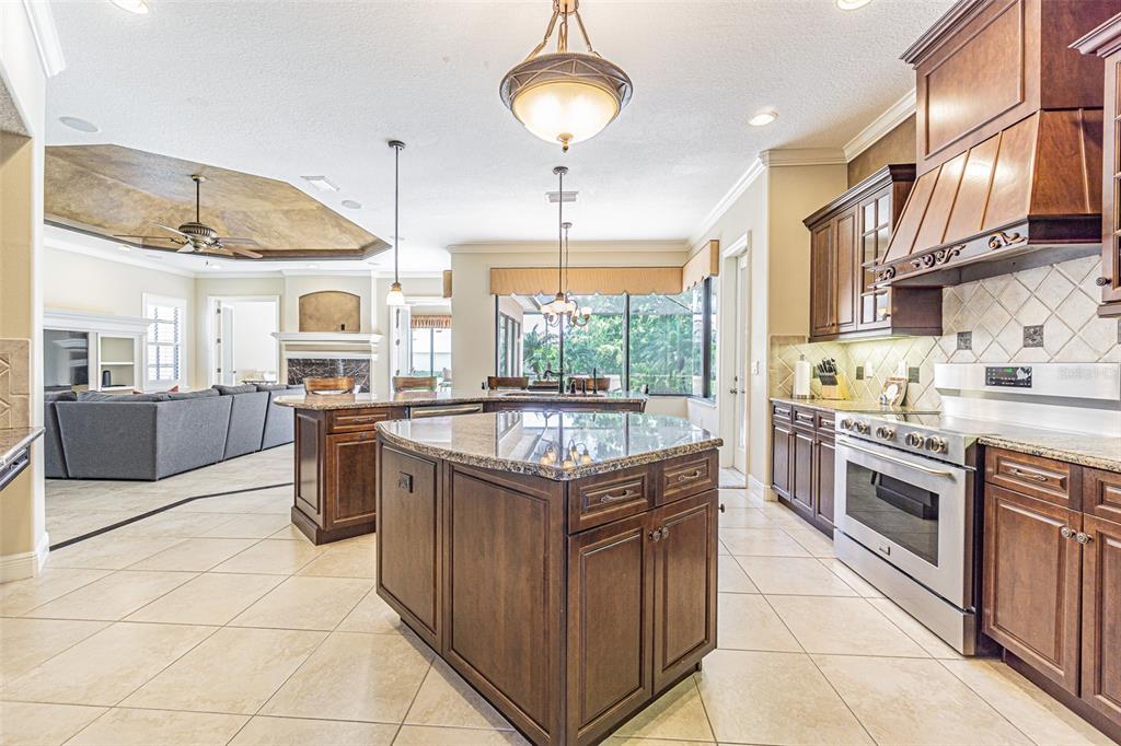 20411 Lace Cascade Road Land O Lakes, FL 34637 - Photo 9 of 44 a kitchen with stainless steel appliances granite countertop a stove and a center island
