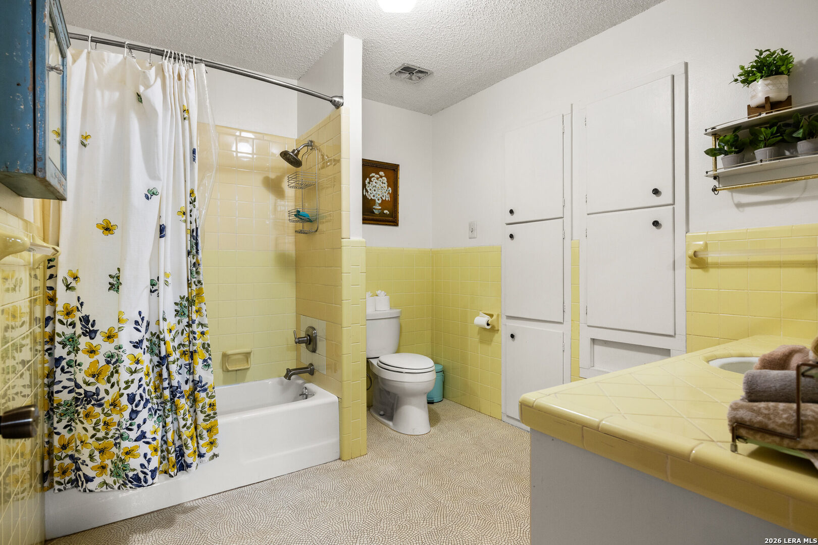 118 Buffalo Spring Road New Braunfels, TX 78132 - Photo 22 of 44