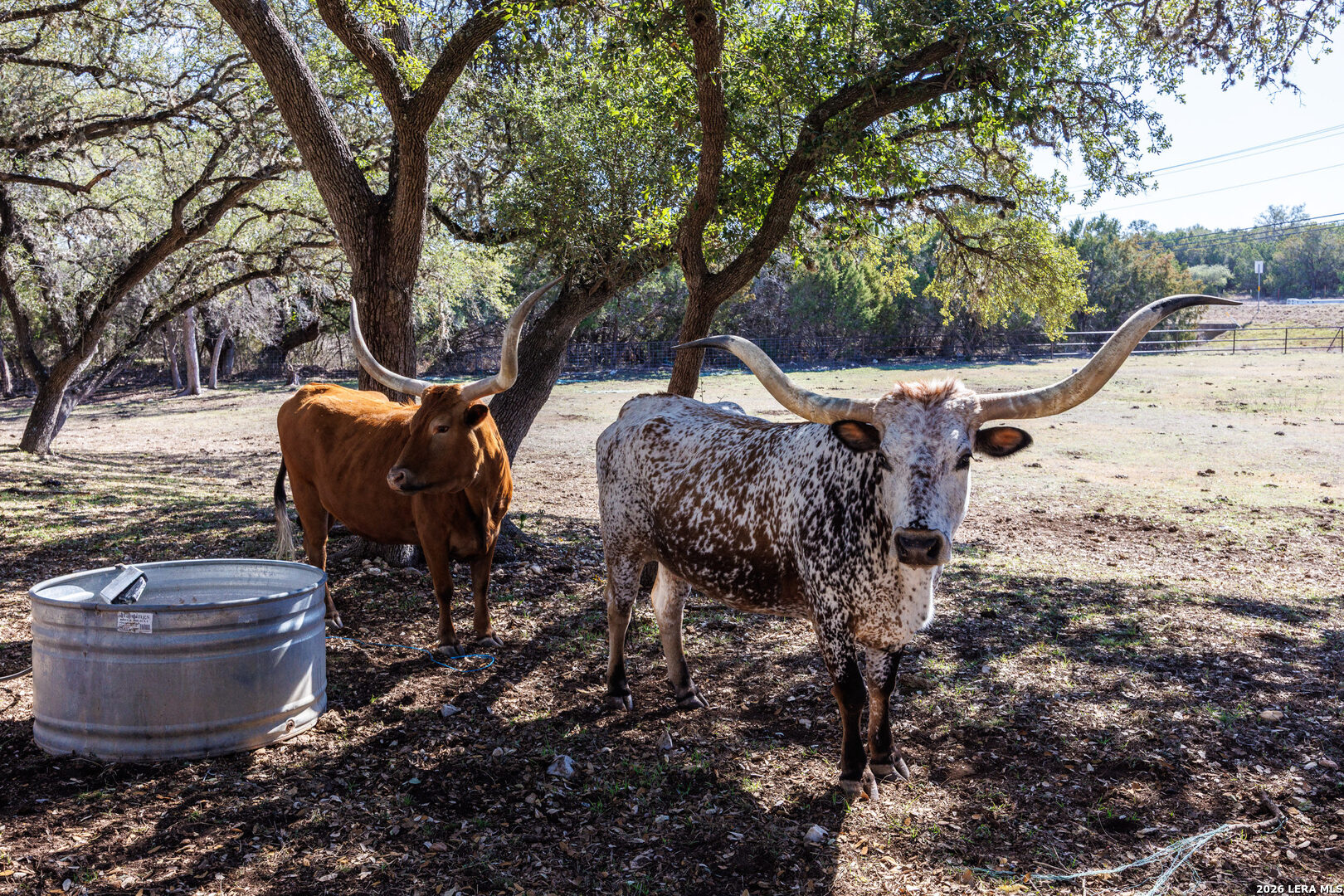 118 Buffalo Spring Road New Braunfels, TX 78132 - Photo 36 of 44