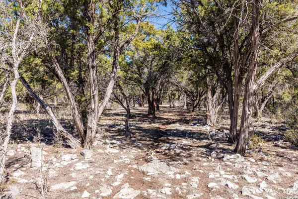 $2,950 | 118 Buffalo Spring Road, New Braunfels, TX 78132