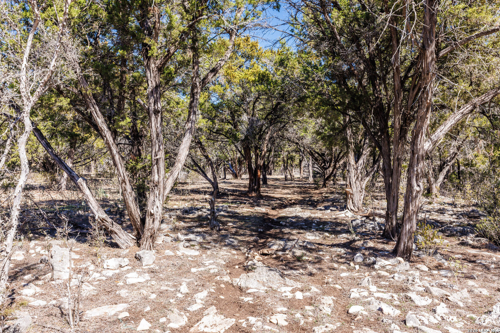 118 Buffalo Spring Road New Braunfels, TX 78132 - Photo 37 of 44