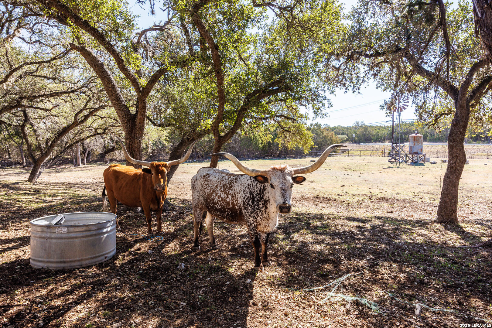 118 Buffalo Spring Road New Braunfels, TX 78132 - Photo 6 of 44