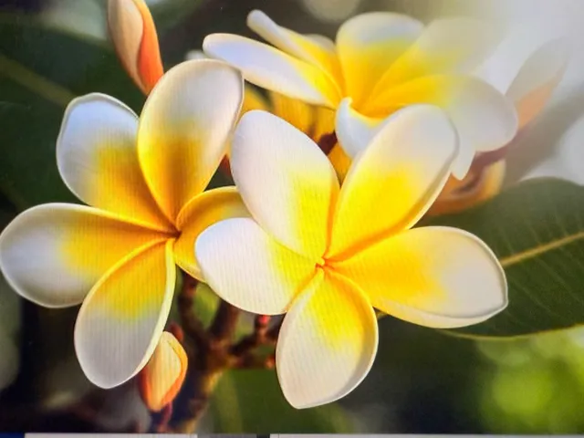 a view of a swimming pool with an outdoor space