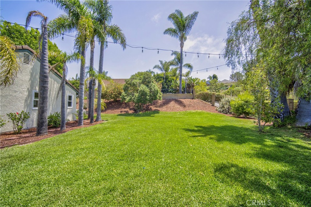 2810 Bello Panorama San Clemente, CA 92673 - Photo 52 of 67 a view of a yard in front of a house