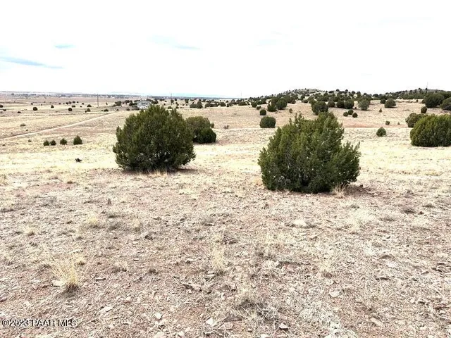 a view of beach and snow
