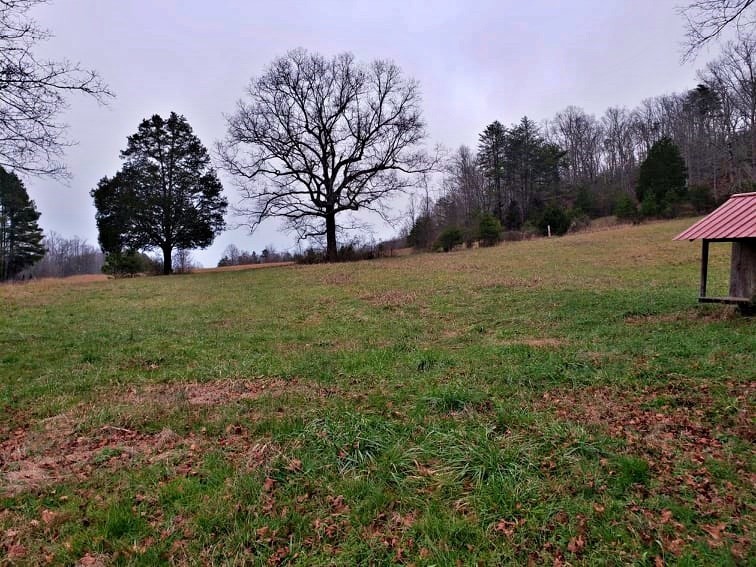 106 County Road 181 Decatur, TN 37322 - Photo 16 of 33 Gallery Image 16