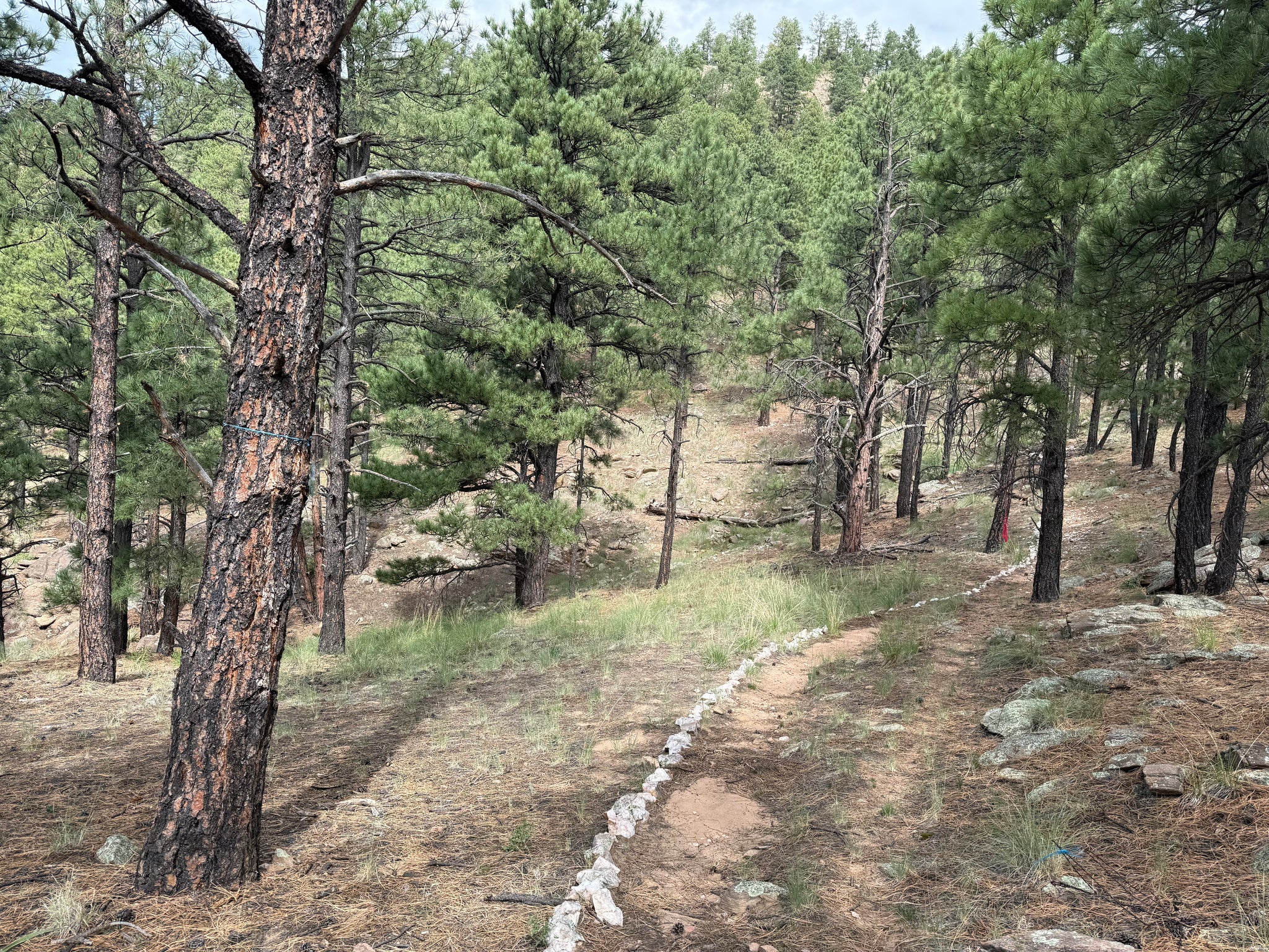 97 County Rd A010 Mora, NM 87732 - Photo 41 of 58 Gallery Image 41