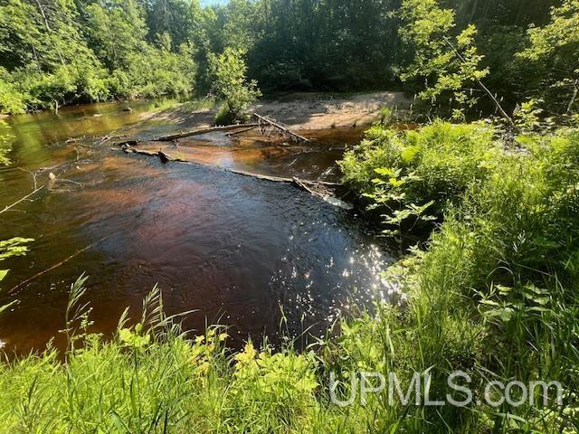 11.6 Acres Off Remington Road Marquette, MI 49855 - Photo 28 of 39