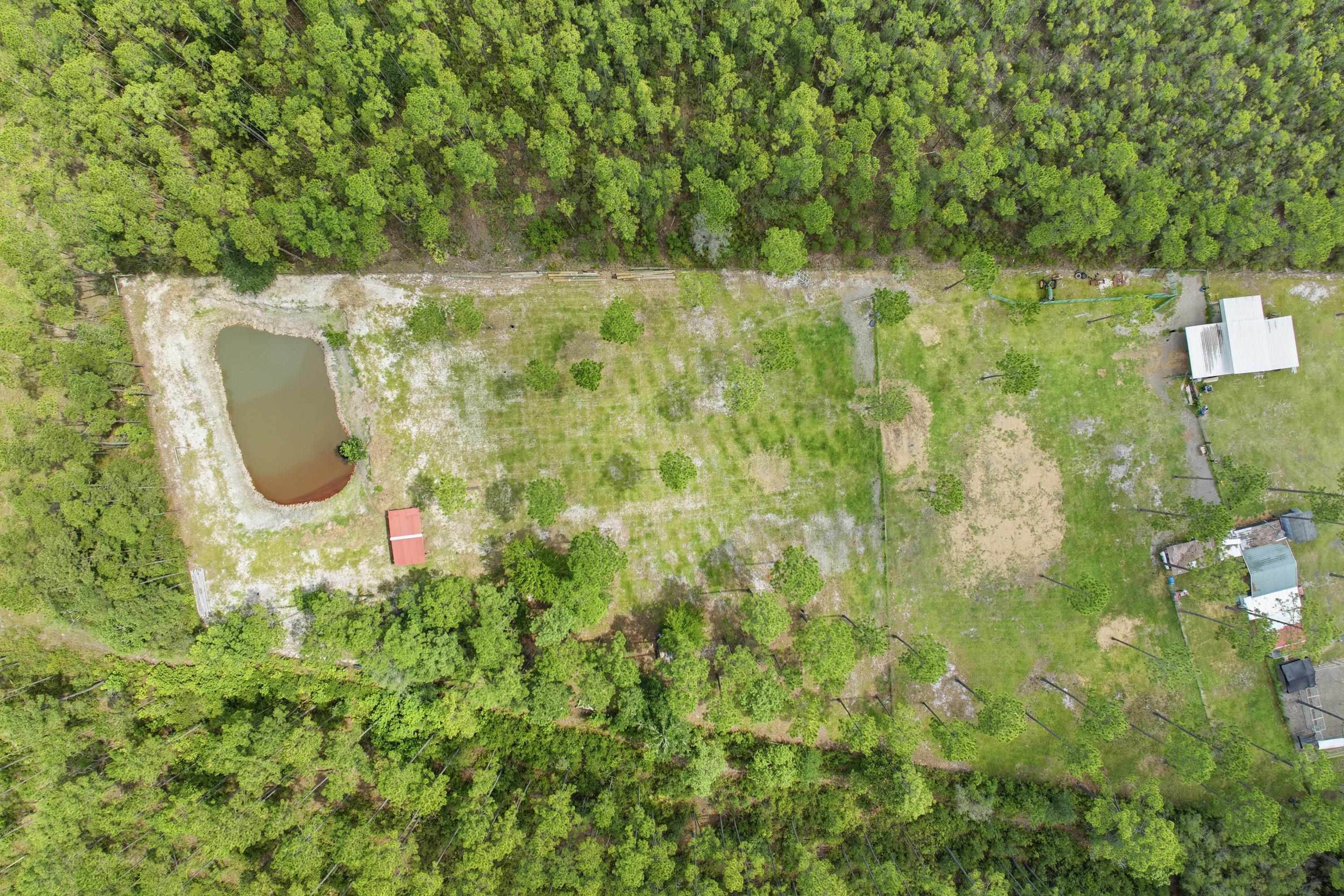 2860 Smith Creek Road Sopchoppy, FL 32358 - Photo 56 of 70